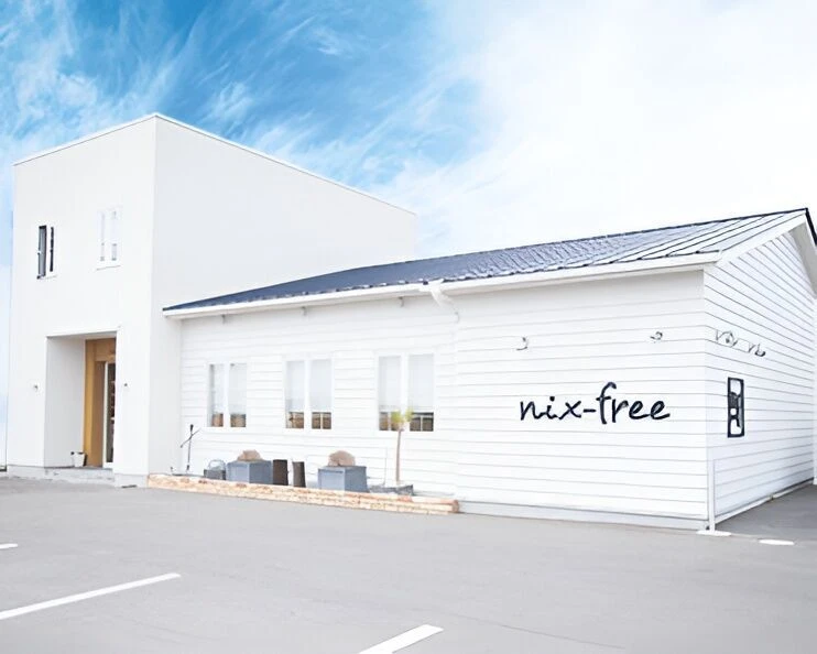 nix-free hair.
