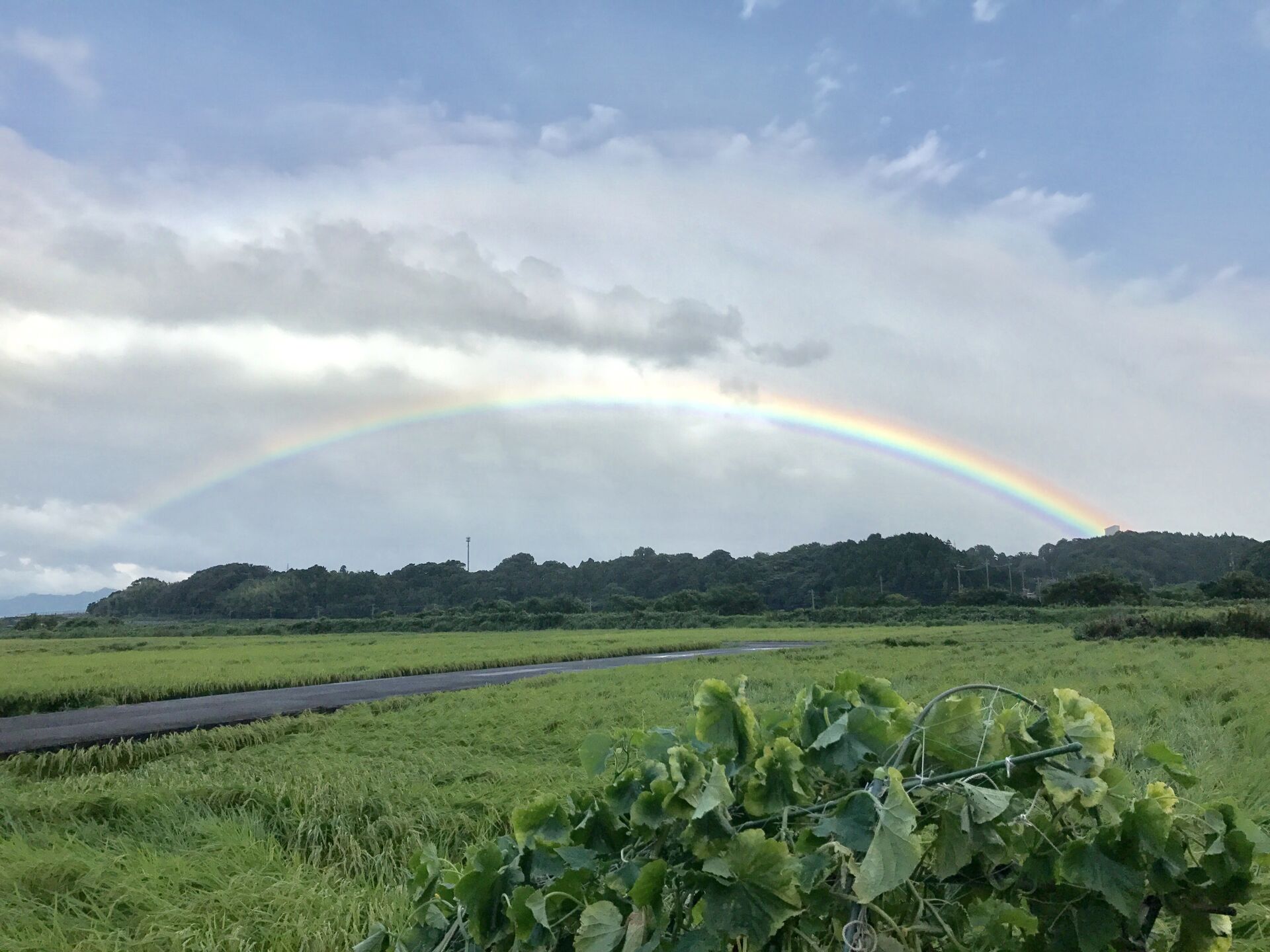 はじめまして(´∀｀*)