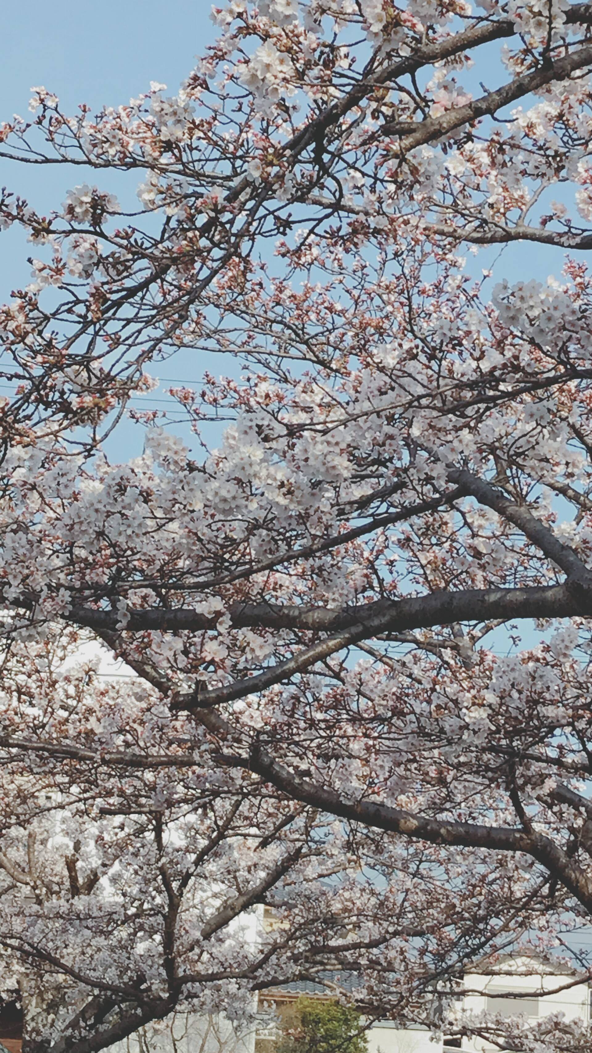 ブログ｜blog – ページ 16 – 鈴鹿 美容院・ヘアサロン　nix-free（ニクスフリー） 2018-04-06 20:20:29