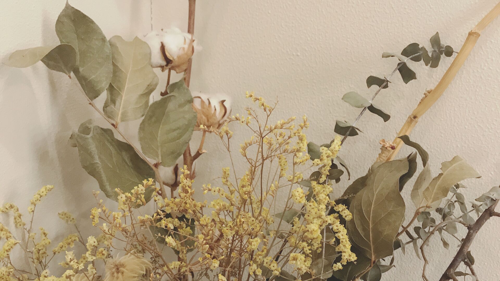 new 🌿 🙋