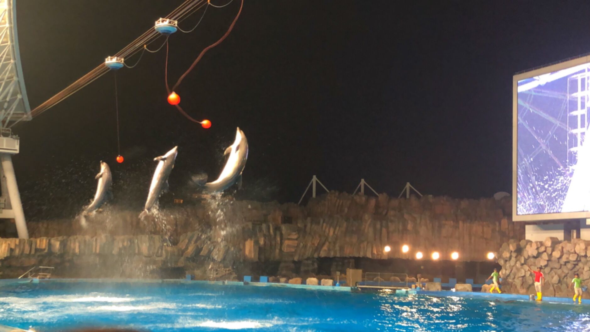 水族館🐬