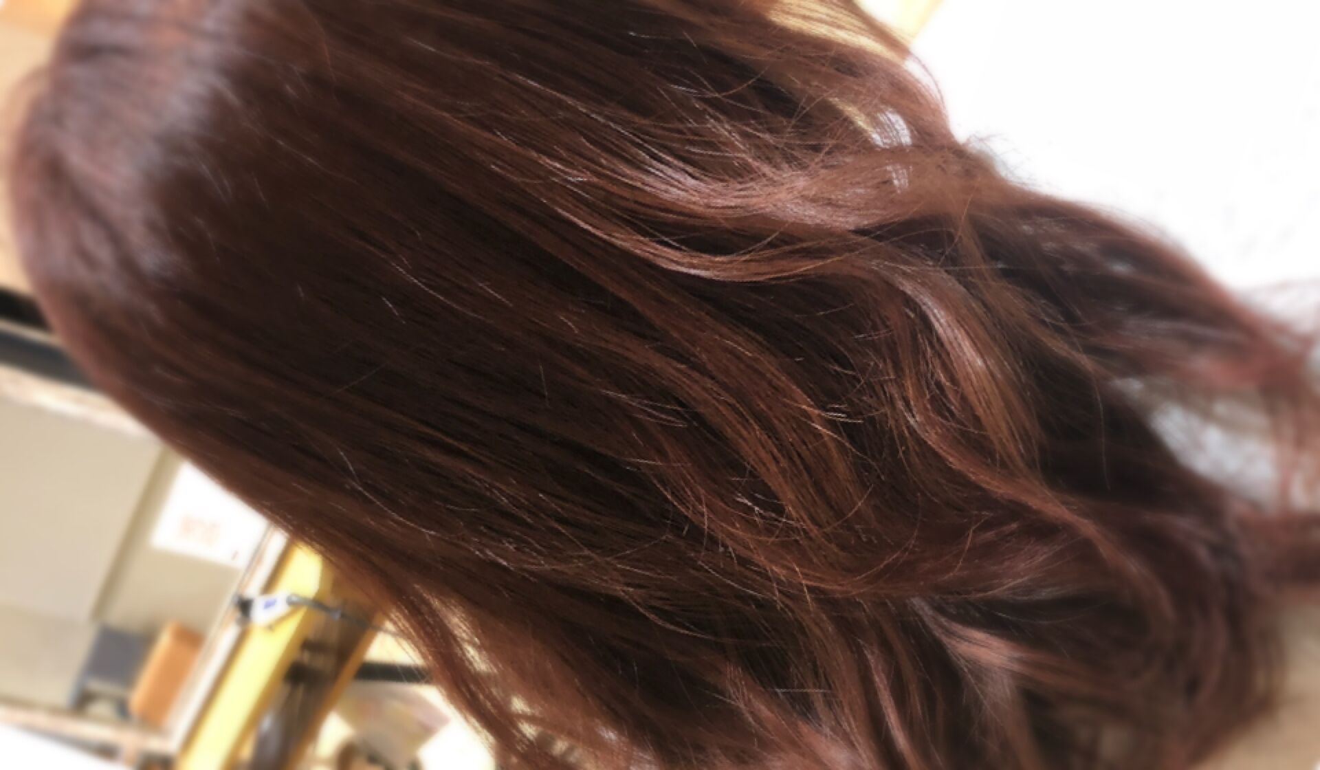 color🍁