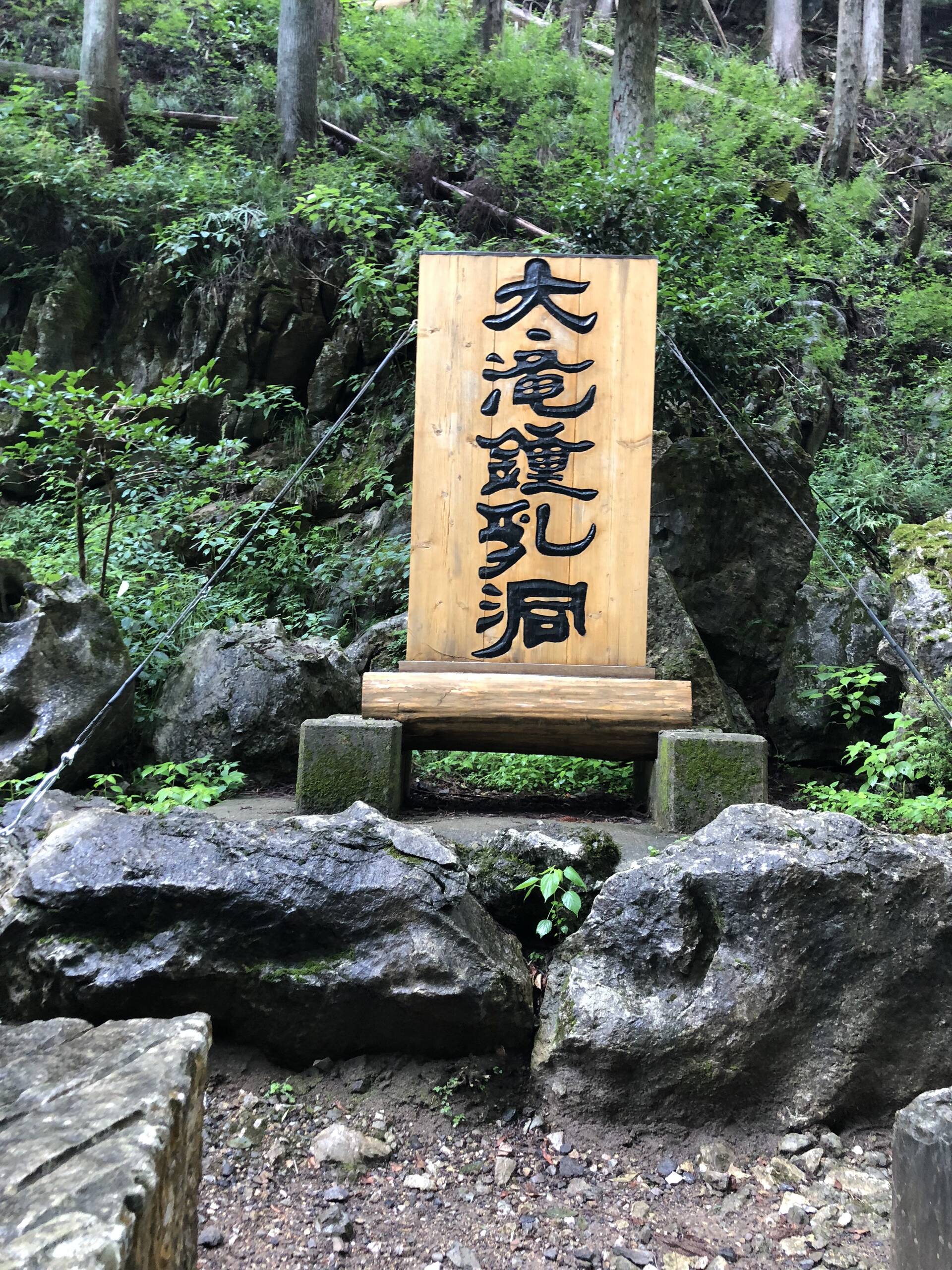 夏の思い出