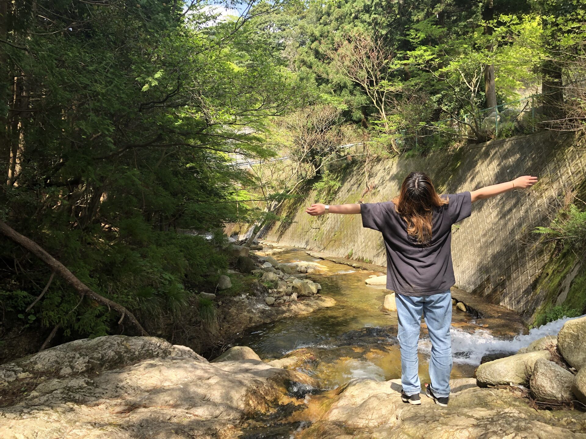 夏の思い出